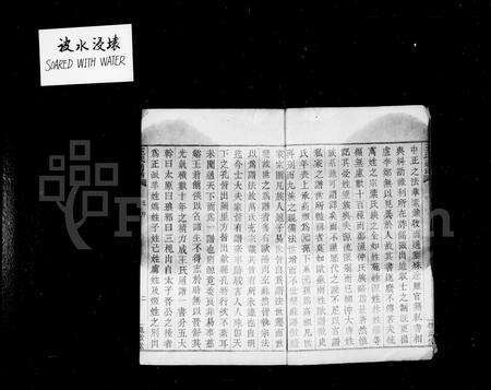 4520.王氏通谱 [106卷,首2卷].pdf电子版预览图5