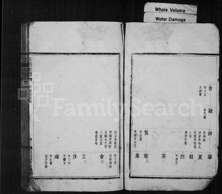 4544.王氏宗谱.pdf电子版预览图5