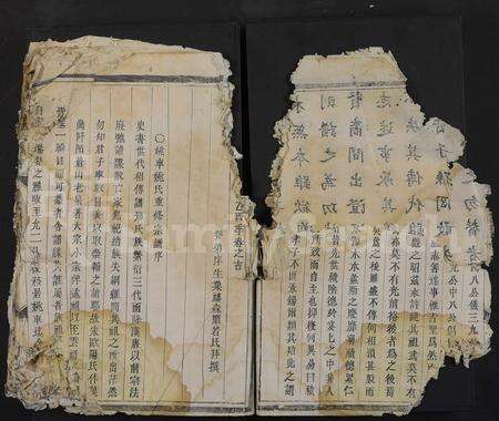 4736.金华姚车姚氏宗谱 [残卷](别名：姚氏宗谱).pdf电子版预览图5