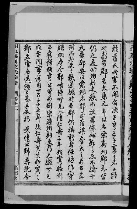 4782.桐江侯川袁氏宗谱 [8卷].pdf电子版预览图5