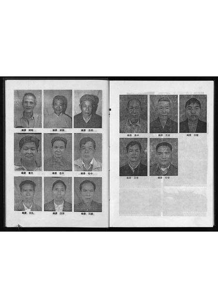 11767.桂东南邹氏族谱(容县卷)(别名：Gui Dong Nan Zou Shi Zu Pu (Rong Xian Juan)、桂东南邹氏族谱(容县卷)).pdf电子版预览图5