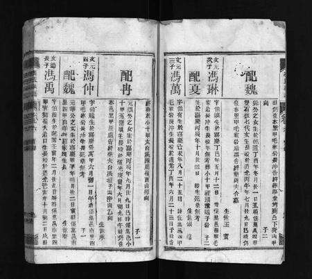 1295.冯氏族谱 [6卷](别名：万邑冯氏族谱、Feng Shi Zu Pu、冯氏族谱).pdf电子版预览图5