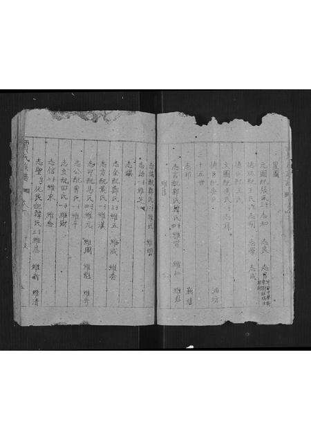 2762.贾氏族谱[卷数不详](别名：Jia Shi Zu Pu、贾氏族谱).pdf电子版预览图5