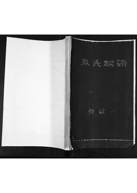 山东毕氏-毕氏族谱.pdf电子版缩略图