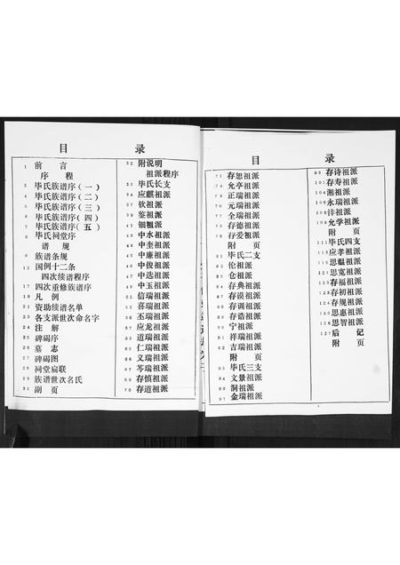 山东毕氏-毕氏族谱.pdf电子版预览图3