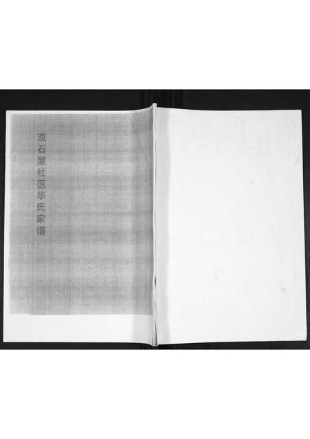 山东毕氏-毕氏族谱.pdf电子版缩略图