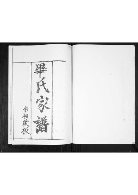 山东毕氏-毕氏族谱.pdf电子版预览图2