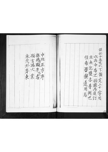 山东毕氏-毕氏族谱.pdf电子版预览图4