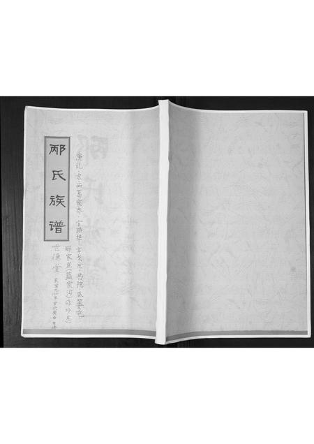山东邴氏-邴氏族谱.pdf电子版缩略图