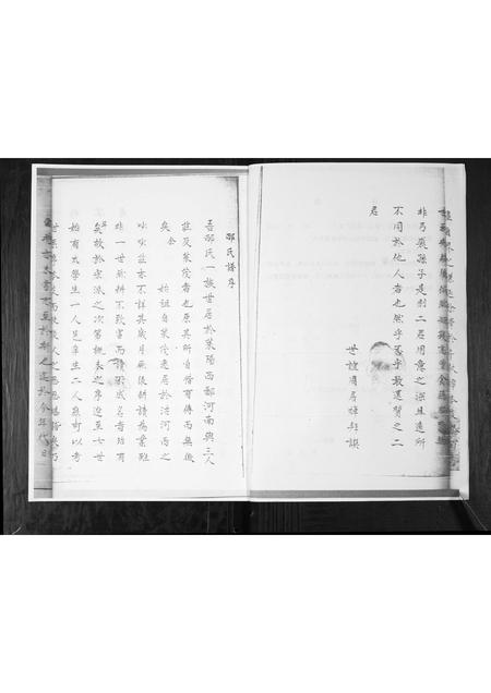 山东邴氏-邴氏族谱.pdf电子版预览图3