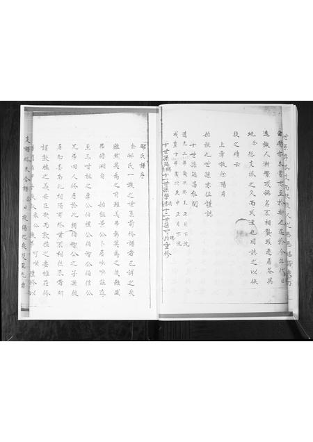 山东邴氏-邴氏族谱.pdf电子版预览图4