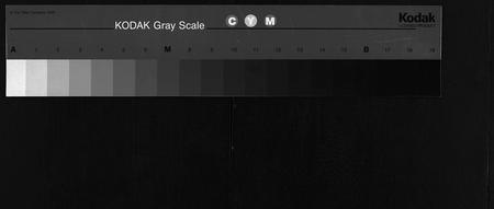 四川蔡氏-蔡氏宗谱[残卷](别名：Cai Shi Zong Pu).pdf电子版缩略图