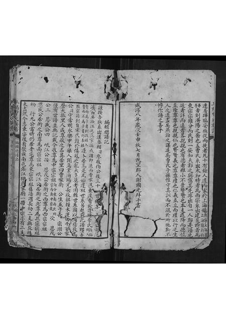 上海曹氏-平阳曹氏族谱.pdf电子版预览图3