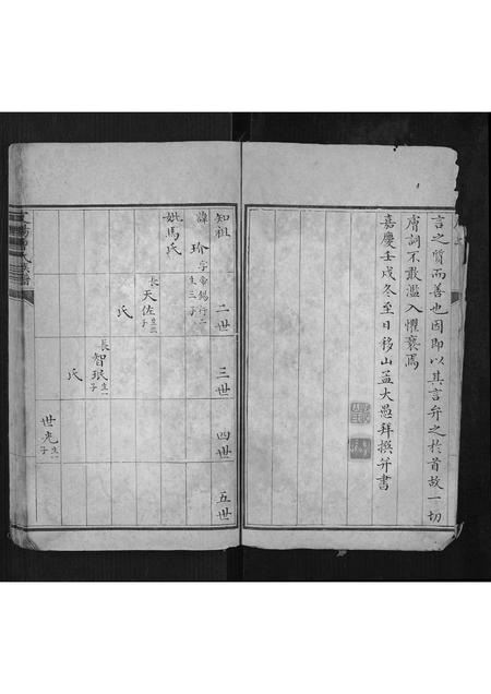 山西曹氏-定阳曹氏族谱[不分卷].pdf电子版预览图4