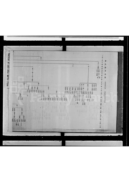 广西曹氏-曹氏谱系全图.pdf电子版缩略图