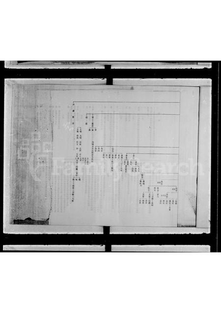 广西曹氏-曹氏谱系全图.pdf电子版预览图2