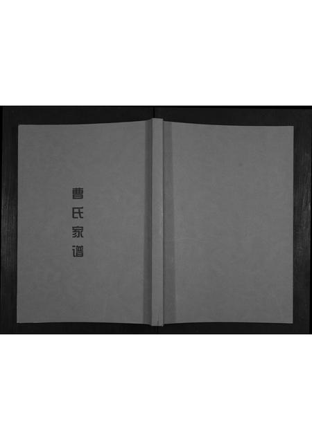 贵州曹氏-曹氏家谱.pdf电子版缩略图