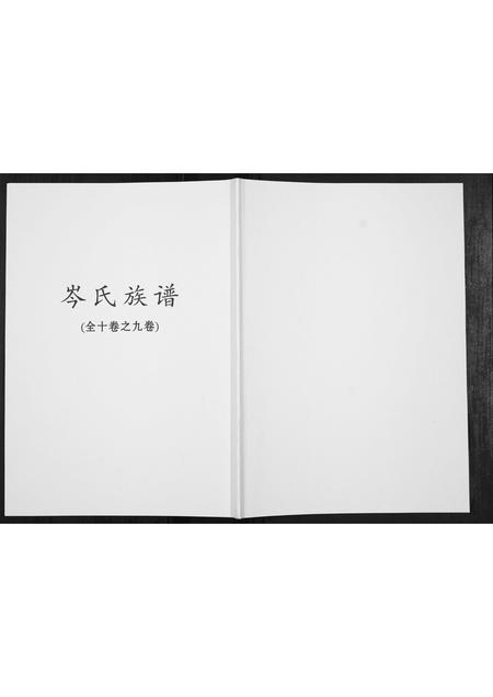 广西岑氏-岑氏族谱[10卷].pdf电子版缩略图