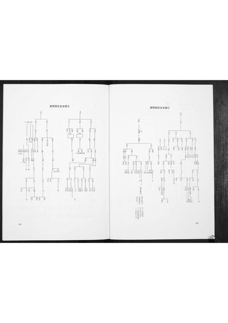 广西岑氏-岑氏族谱[10卷].pdf电子版预览图2