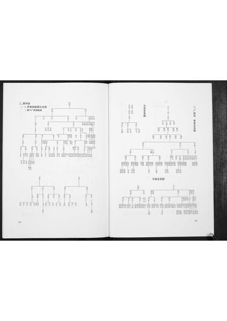 广西岑氏-岑氏族谱[10卷].pdf电子版预览图4