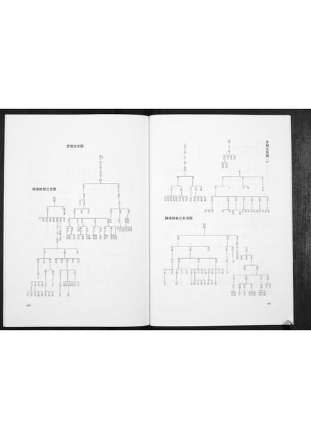 广西岑氏-岑氏族谱[10卷].pdf电子版预览图5