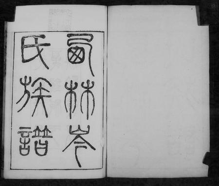 广西岑氏-西林岑氏族谱 [10卷, 首1卷].pdf电子版预览图2