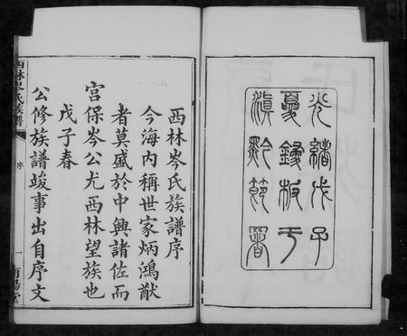 广西岑氏-西林岑氏族谱 [10卷, 首1卷].pdf电子版预览图3