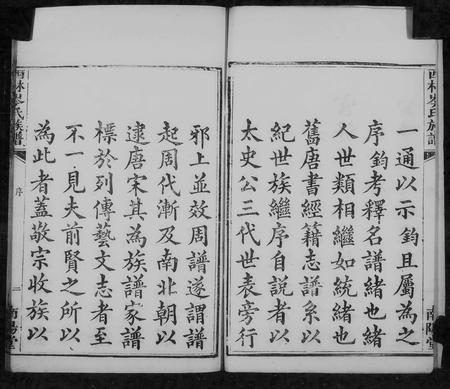 广西岑氏-西林岑氏族谱 [10卷, 首1卷].pdf电子版预览图4