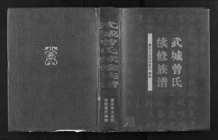 四川曾氏-武城曾氏族谱.pdf电子版缩略图