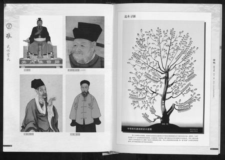 四川曾氏-武城曾氏族谱.pdf电子版预览图5