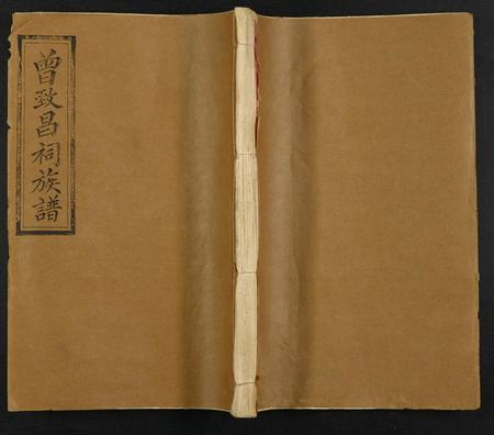 山东曾氏-曾致昌祠族谱[69卷含卷首, 终1卷].pdf电子版缩略图