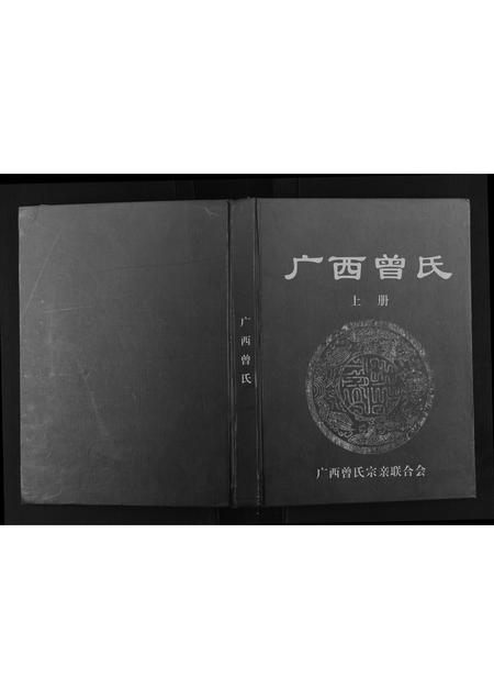 广西曾氏-广西曾氏.pdf电子版缩略图