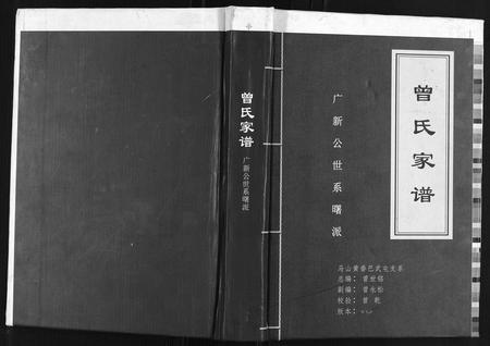 广西曾氏-曾氏家谱.pdf电子版缩略图