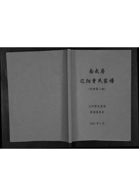 辽宁曾氏-南武房辽阳曾氏家谱[不分卷].pdf电子版缩略图