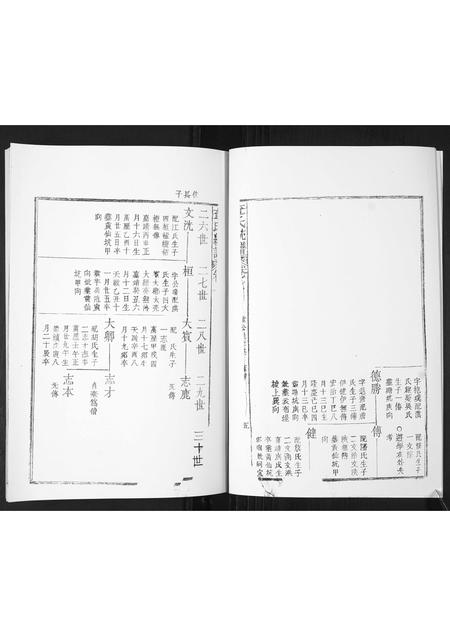山东查氏-查氏通谱.pdf电子版预览图3