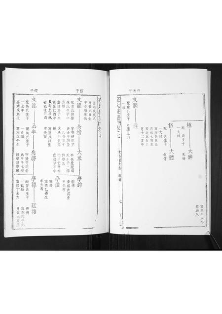山东查氏-查氏通谱.pdf电子版预览图5