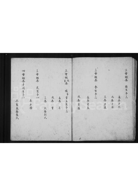 山西柴氏-柴氏家谱.pdf电子版预览图5