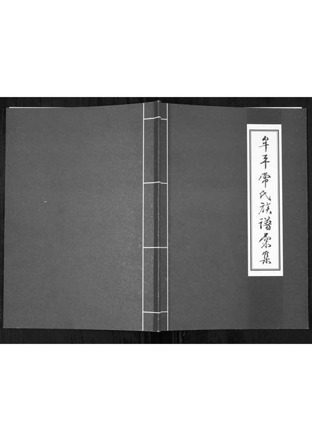 山东常氏-常氏族谱汇集[1册](别名：Chang Shi Zu Pu Hui Ji).pdf电子版缩略图
