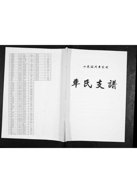 山东车氏-车氏支谱.pdf电子版缩略图