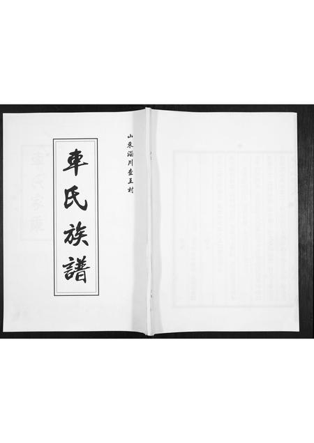 山东车氏-车氏族谱.pdf电子版缩略图
