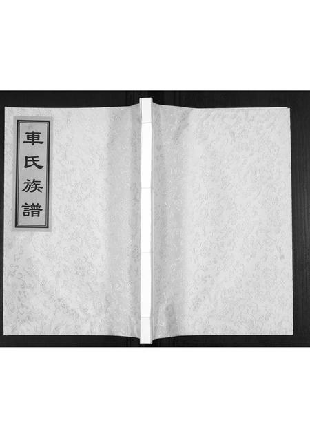 山东车氏-即墨车氏族谱.pdf电子版缩略图