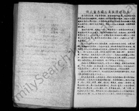 四川陈氏-颖川陈氏族谱.pdf电子版预览图2