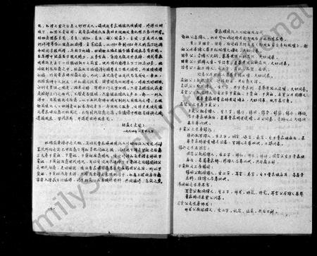 四川陈氏-颖川陈氏族谱.pdf电子版预览图4