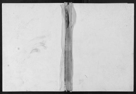 四川陈氏-义门堂陈氏宗谱[不分卷].pdf电子版缩略图