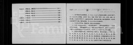 四川陈氏-义门墨池陈氏族谱.pdf电子版预览图2