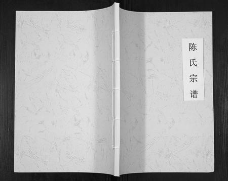 四川陈氏-陈氏宗谱[不分卷].pdf电子版缩略图