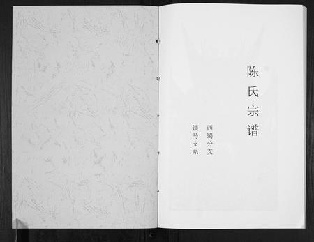 四川陈氏-陈氏宗谱[不分卷].pdf电子版预览图1