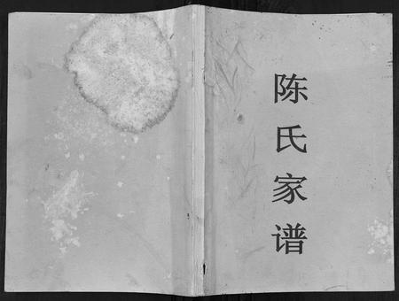 四川陈氏-陈氏家谱[7卷].pdf电子版缩略图