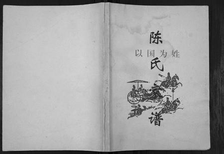 四川陈氏-陈氏家谱[不分卷].pdf电子版缩略图