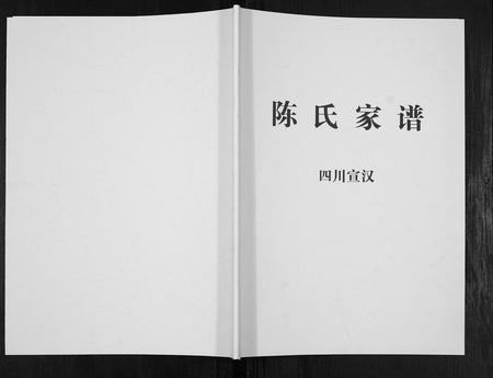 四川陈氏-陈氏家谱[不分卷].pdf电子版缩略图